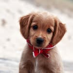 Scott T. Arney - @scott.arneyy - Instagram