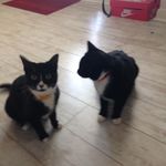 Scott Arnott - @scott.arnott.33 - Instagram
