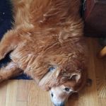 Scott Arnott - @arnott.scott - Instagram