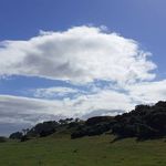 Thomas Scott Arnott - @thomasscottarnott - Instagram