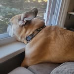 Scott Hartman - @scott.hartman.549 - Instagram