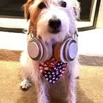 Scott Ashbaugh - @scottgashbaugh - Instagram