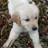 Scott Askins - @scottaskins - TikTok