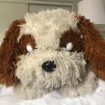 scott 🐶 - @scottathanthedog - Instagram
