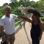 @_scott_atkinson_ - Instagram