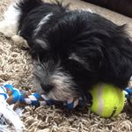 Louie Scott Auld - @louis.auld - Instagram