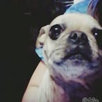 mufasa scott aurand - @mufasa_is_my_baby - Instagram