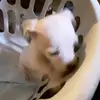 scottarrand2 - @scottarrand2 - TikTok
