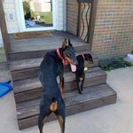 Scott Austermiller - @scottaustermiller - Instagram