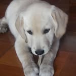scott_el_aventurero - @scott_el_aventurero - Instagram