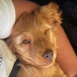 Scott - @scott_aventures_ - Instagram