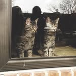 Scott & Seth Avett - @scottandsethavett - Instagram