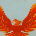 Geoffrey Scott Avey - @aveygeoffrey - Instagram