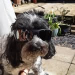 Scott Davey - @scottdavey49 - Instagram