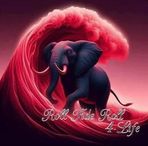 Scott Ayers - Facebook