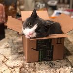 Jodi Azinger Scott - @jodi.a.scott.5 - Instagram