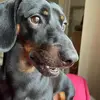 scottbradders - @scottbradders - TikTok