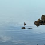 Scott Badman - @pixel1227700 - Instagram