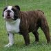 Scott Bagwell - Facebook