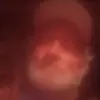 Scott Bagwell - @scottbagwell5 - TikTok