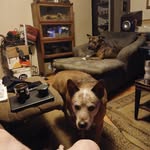 Scott Bailey - @scottbailey227 - Instagram