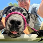 Scott Bakos - @bakos_scott - Instagram