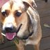 Scott Bakos - Facebook