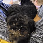 Scott Bales - @scott_bales72 - Instagram