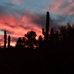 Scott Bales - Facebook