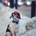 Scott Ballesteros - Facebook