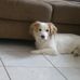 Scott Jaen Ballesteros - Facebook