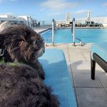 Scott Ballou - @ssb.tsb - Instagram