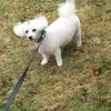 Scott Bamforth - @2183747801 - TikTok