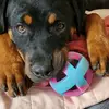 Scott Albaugh - @scott.albaugh - TikTok