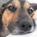 Balthazar G. Scotto - Facebook