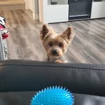 Scott Banfield - @banfieldscott - Instagram