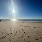 Scott Banfield - @scott.banfield.saga - Instagram