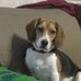 Scott Banfield - Facebook