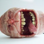 Scott Bannon - @paulcheese - Instagram