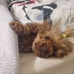 Scott Baran - @baranscott7 - Instagram
