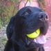 Scott Barham - Facebook