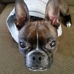 Scott Barkley - @scott.barkley.7 - Instagram