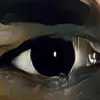 scott.barrington - @scott.barrington - TikTok