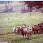 Scott Barrow - @scott.barrow.1029 - Instagram