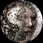 Scott Barrow - @skot_of_earth - Instagram