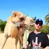 Scott Barsanti - @scott.barsanti - TikTok