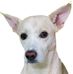 Scott Bartolo - Facebook