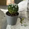 scottbartolozzi - @scottbartolozzi - TikTok