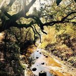 Scott Barwick - @barwick_scott - Instagram