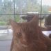 Scott Basen - Facebook